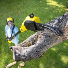 Best Landscape Design and Installation  in West Tawakoni, TX